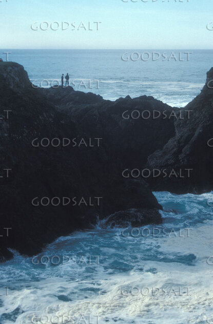Witnesses on the Coastal Rock