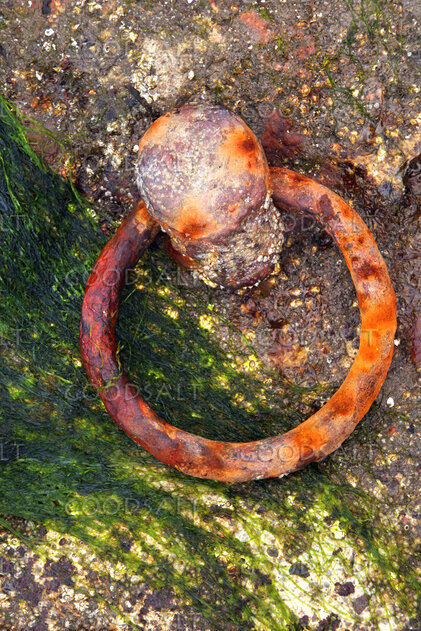 Weathered Iron Mooring Ring