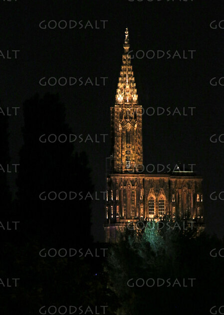 Illuminated Gothic Cathedral Spire