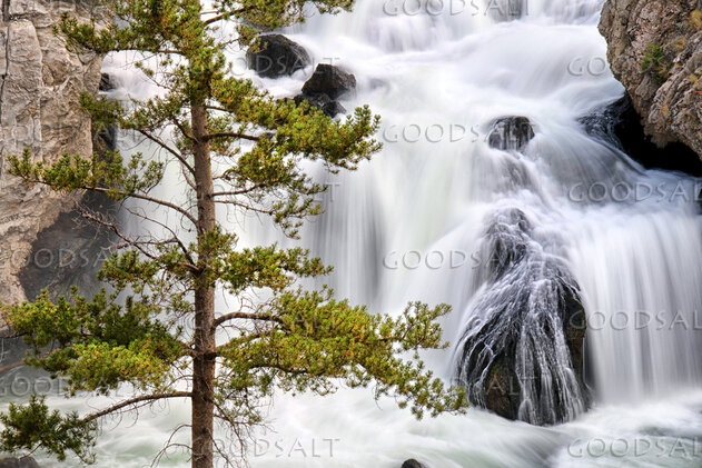 Waters of Creation