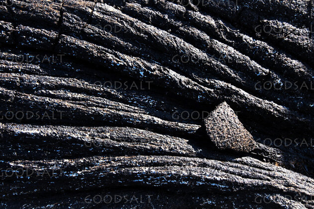 Charred Wood and Ash Texture