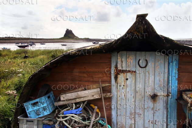 Boat Shed on Holy Island Shore