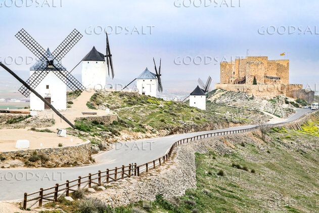 Windmills and Castle of Consuegra