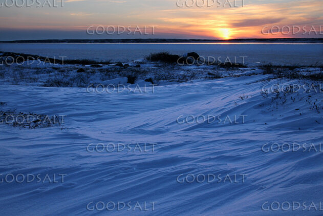 Winter Shore at Sunset