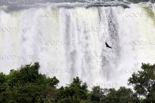 Waterfall Majesty in God’s Creation