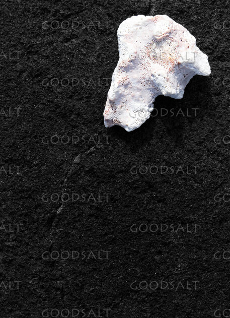 Stone on Dark Rock