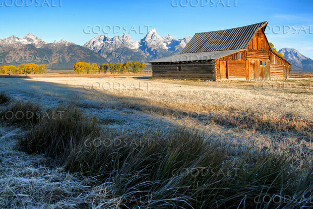 Mountain Homestead in Frosted Fields