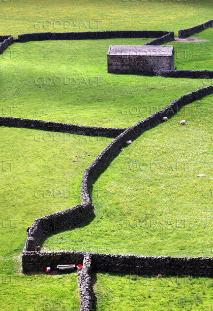 Sheep Pasture with Stone Walls