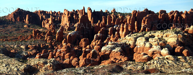 Desert Pillars in the Wilderness