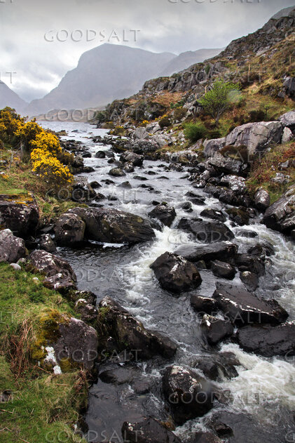 River Through the Mountain Wilderness