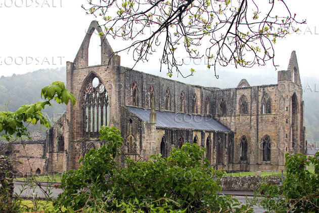 Gothic Abbey Ruins in Spring