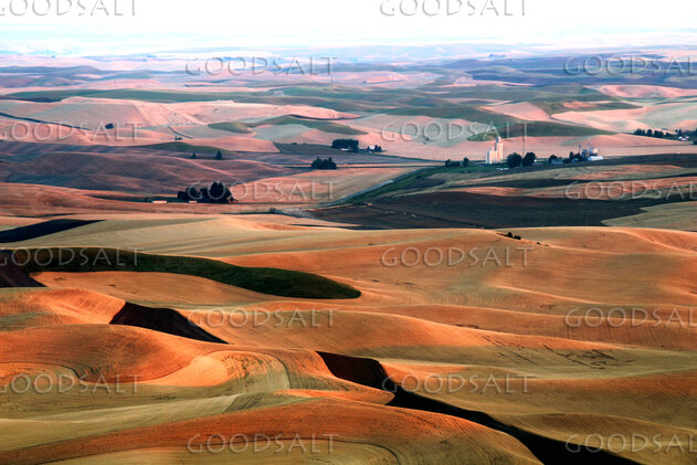 Fields of Providence