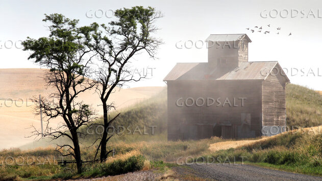 Country Harvest Barn at Morning Light