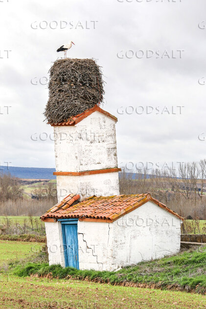 Stork Nest on a Country Roof