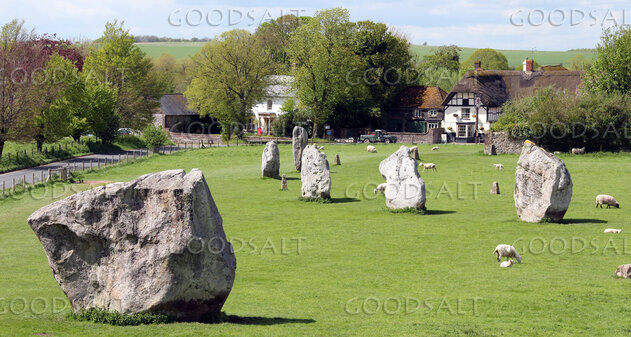 Ancient Stones in the Village Meadow