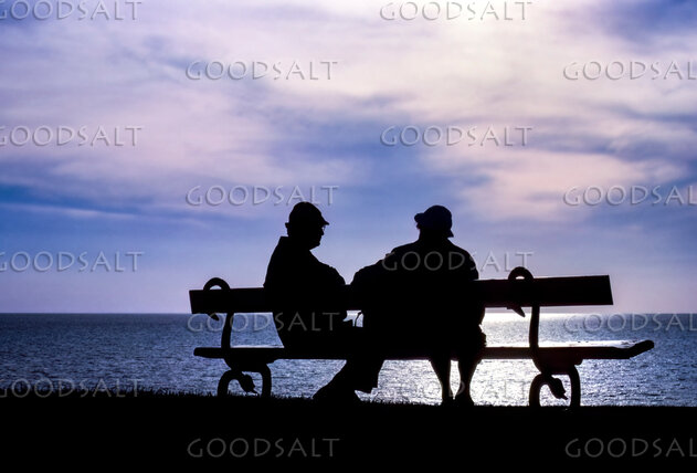 Companions by the Sea