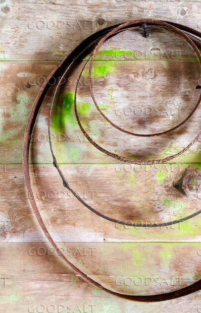 Coiled Scourge on Weathered Wood