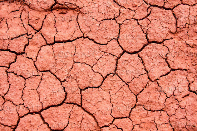 Parched Ground in the Wilderness