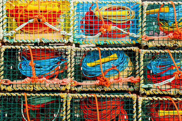 Nets Ready for the Calling