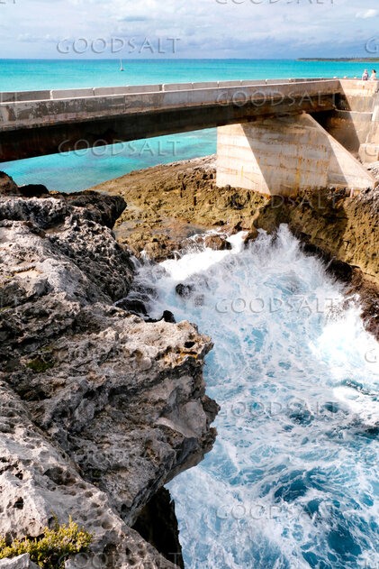 Waves Beneath the Coastal Bridge