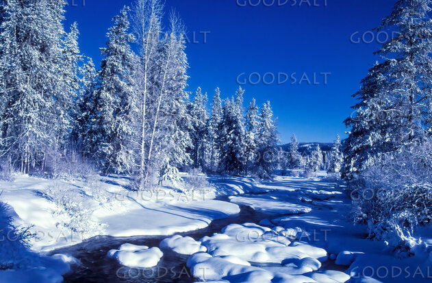 Winter River in the Quiet Forest