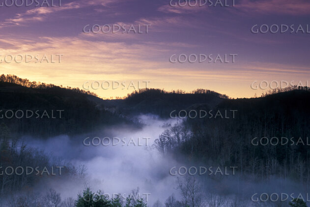 Dawn Mist Over the Valley