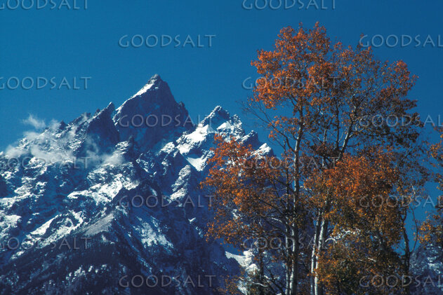 Autumn Peaks of God’s Creation