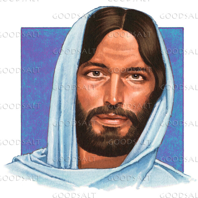 Face of Christ the Savior