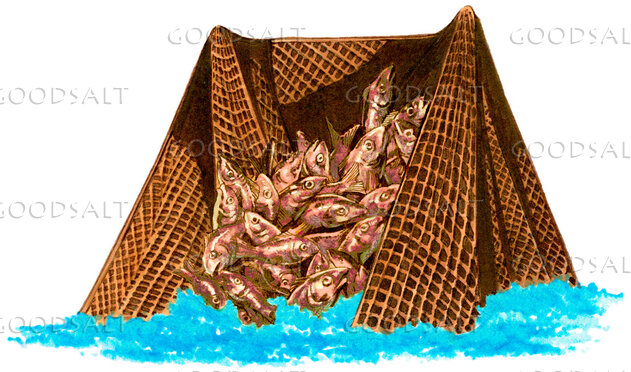 Net Full of Fish