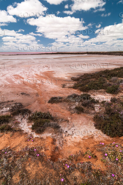 Wilderness Salt Plain Under Open Heaven