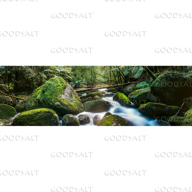 Streams in the Quiet Forest