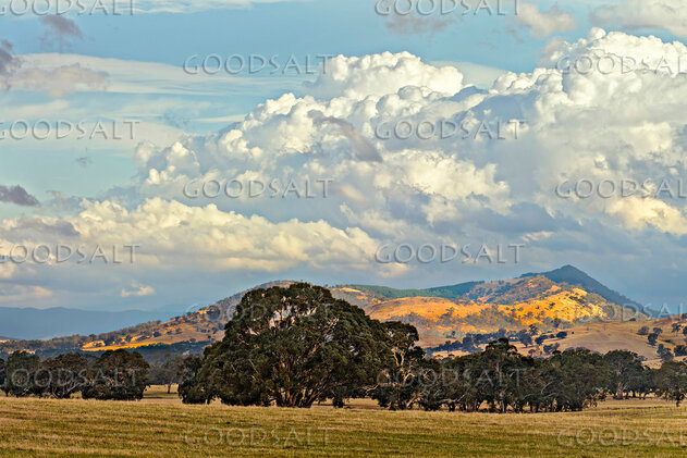 Hills Beneath the Heavens