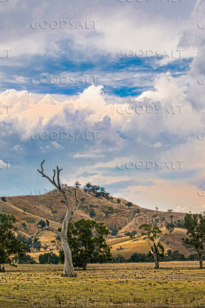 Hills Beneath the Heavens
