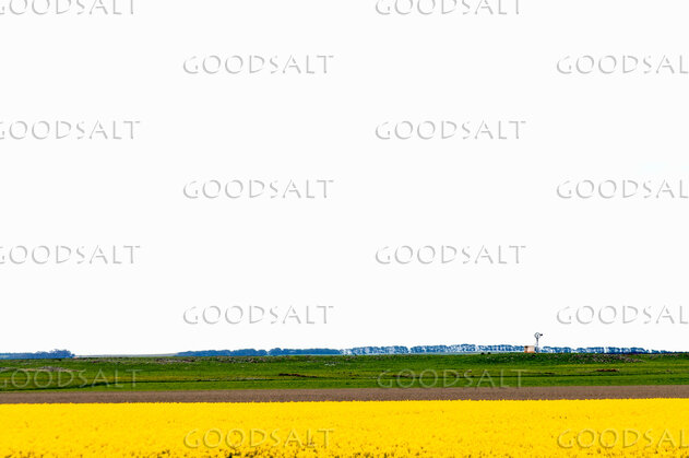 Harvest Fields Under Open Sky