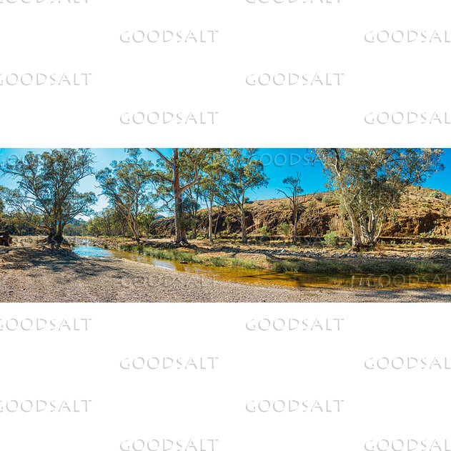 Stream in the Wilderness