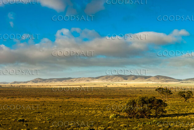 Pastures of the Wilderness