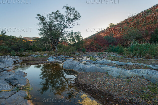 Still Waters in the Wilderness