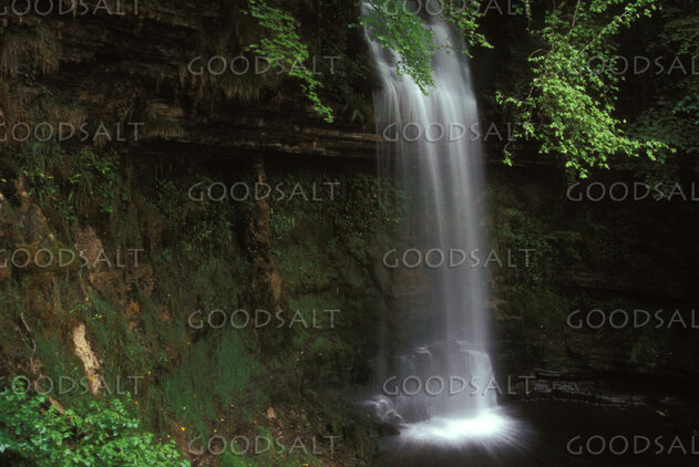 Hidden Falls of Living Water