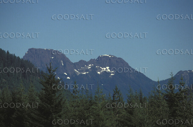 Mountain Peaks Above the Evergreen Wilderness