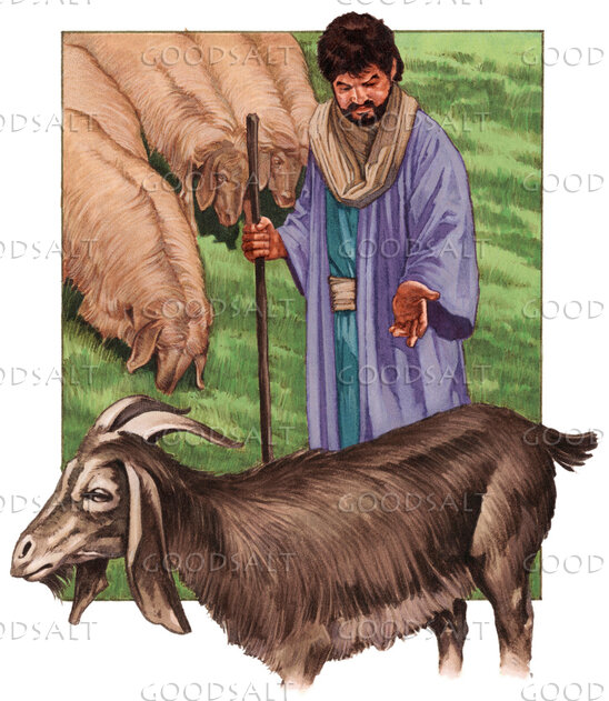 The Shepherd Separates the Sheep and Goats