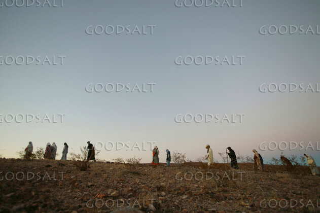 Pilgrims Across the Wilderness