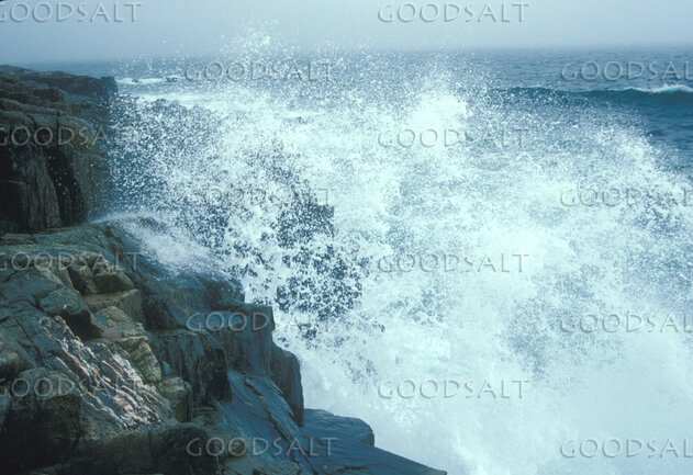 Waves Breaking on the Rockbound Coast