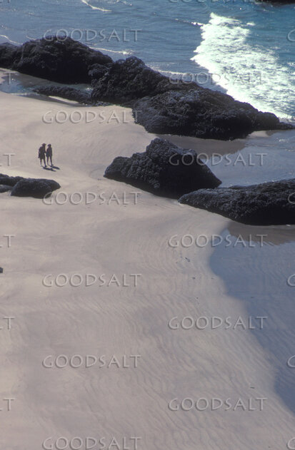 Companions on the Rocky Shore