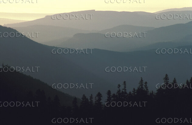 Morning Over the Misty Mountains