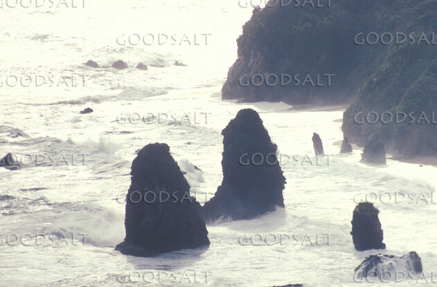 Sea Stacks in the Breaking Surf