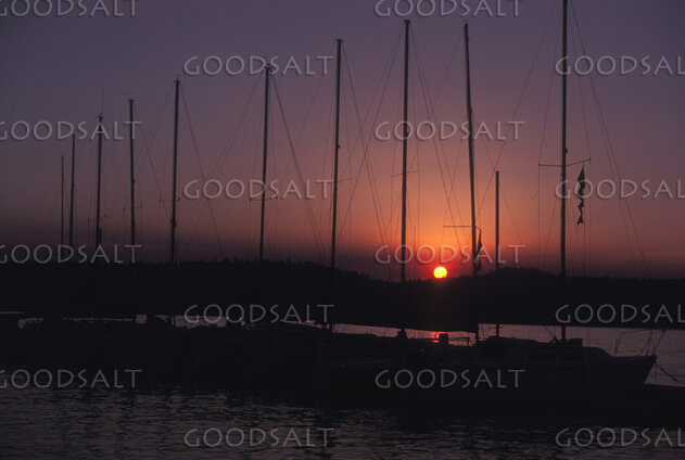 Harbor Masts at Sunset