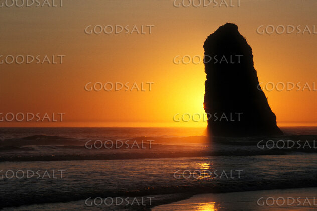 Sea Stack at Sunset