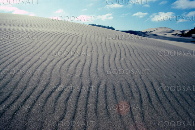 Wind-Rippled Wilderness Dunes