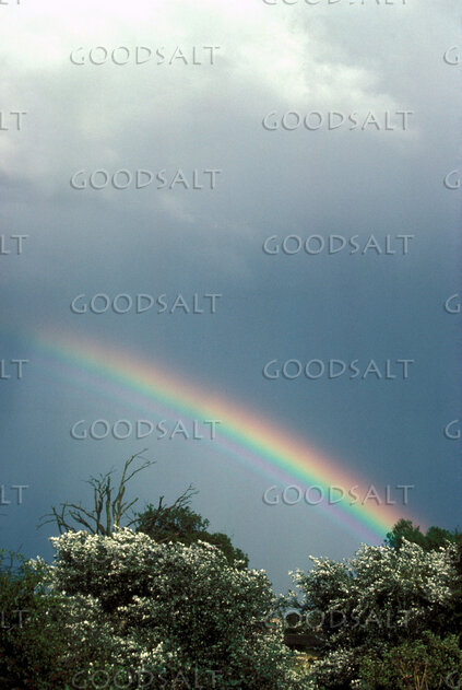Rainbow Covenant After the Storm