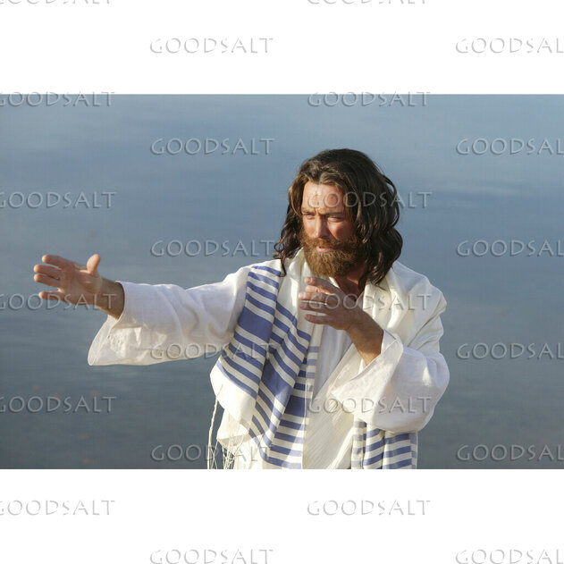 Jesus Teaching Beside the Sea